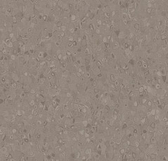 Линолеум Forbo Sphera Element 50020 silt фото 1 | FLOORDEALER